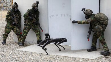 robot dog