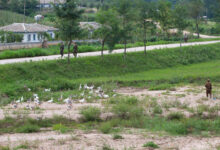 North Korean soldiers